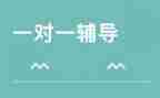 辅导老师工作总结8篇