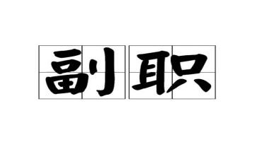 2023年副职述职报告8篇
