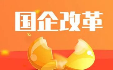 党组改革述职报告6篇