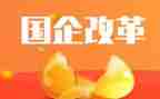 党组改革述职报告6篇