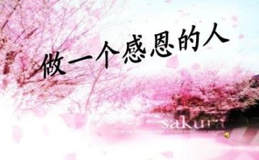 教师的感恩节演讲稿8篇