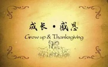 对老师的感恩作文优秀8篇