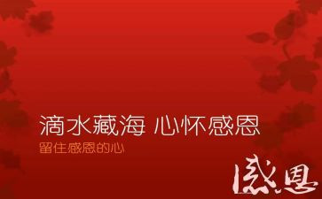 感恩,心得体会7篇