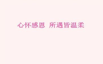 感恩个人演讲稿参考6篇