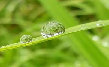 我心灵的甘露600字作文精选5篇