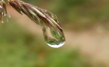 我心灵的甘露600字作文最新8篇