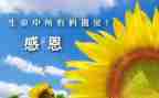 感谢的演讲稿优质5篇