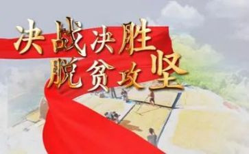 村脱贫攻坚工作总结通用6篇
