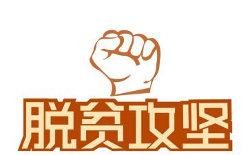 村脱贫攻坚工作总结7篇
