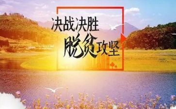 村脱贫攻坚工作总结参考7篇