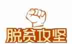 村脱贫攻坚工作总结7篇