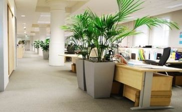 个人对公司工作计划优质8篇