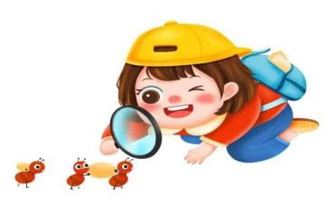 二年级数学上册观察物体教案及反思8篇