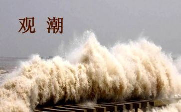 八年级观潮教案5篇