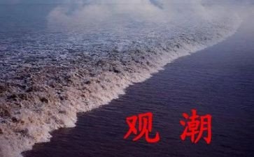 观潮的心得体会作文400字模板8篇