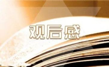 安全食品观后感7篇