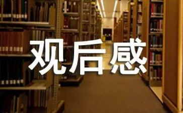 教育专题片观后感8篇
