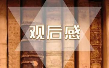 大学生2024年315观后感优秀5篇