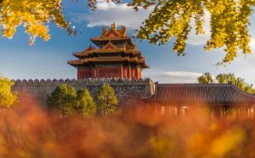 我在故宫的作文通用7篇
