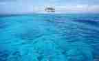 保护海洋保护海洋生物的演讲稿5篇