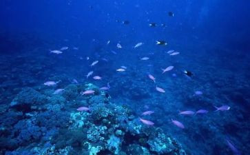 海底连万里读后感7篇