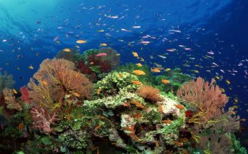 海底2万里读后感300字7篇
