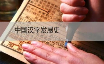 学汉字的调查报告模板6篇