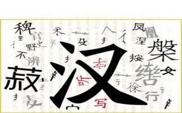 《我们的汉字》读后感5篇