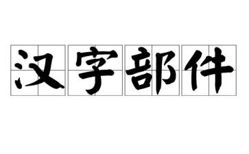我们的汉字的读后感6篇