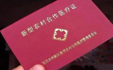 乡镇合疗工作计划6篇