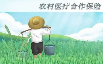 医保合疗年度个人总结范文5篇