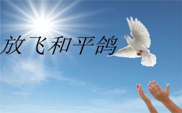战争和和平的读后感最新6篇