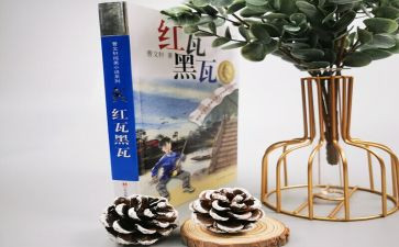 红瓦黑瓦读后感6篇