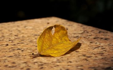 我怀念的人作文800字模板8篇