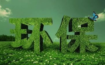 2024年环保活动心得体会8篇
