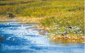 对环境的调查报告精选7篇