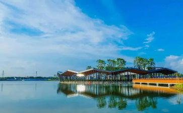 对环境的调查报告模板5篇