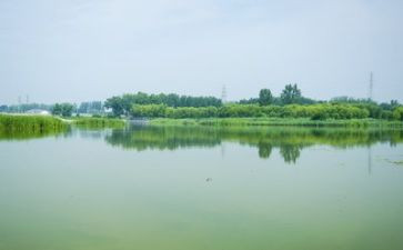 写环境的作文优秀8篇