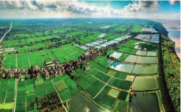 我周围环境的作文精选8篇