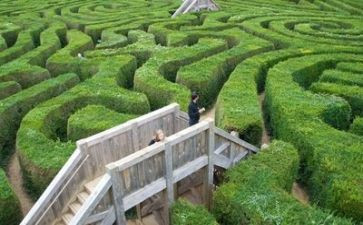 我周围环境的作文7篇