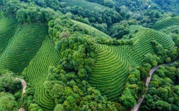 环境办个人总结范文6篇