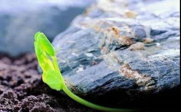 读唤醒护理书读后感6篇