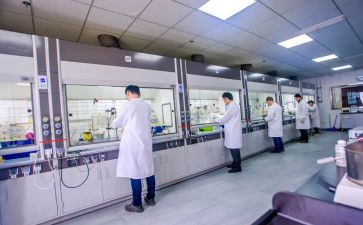 化验室2024年工作总结推荐7篇
