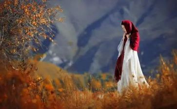 回眸作文800字5篇