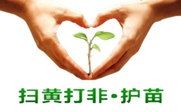 家长护苗心得体会5篇
