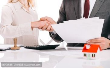 团主题活动方案优质5篇