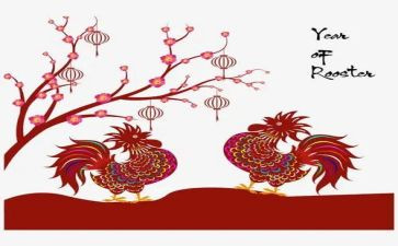 小班小鸡出壳了教案6篇