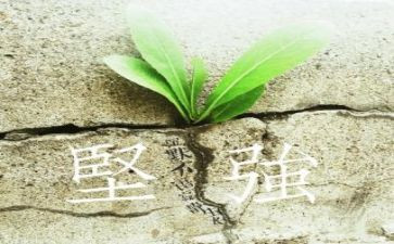 我要学会坚强作文6篇