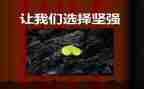 坚强我的作文5篇
