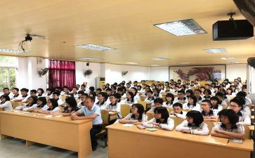 小学电教处工作计划推荐7篇